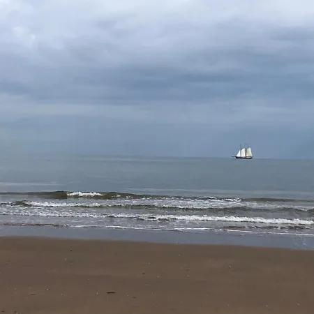 Paauwze