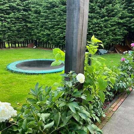 Paauwze 3* Rijnsburg