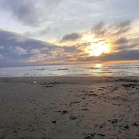 Paauwze