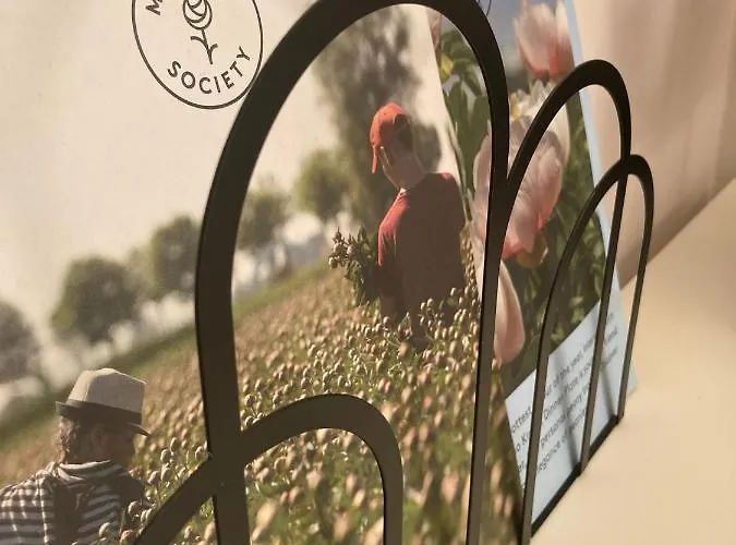 Paauwze Nocleg ze śniadaniem 3*