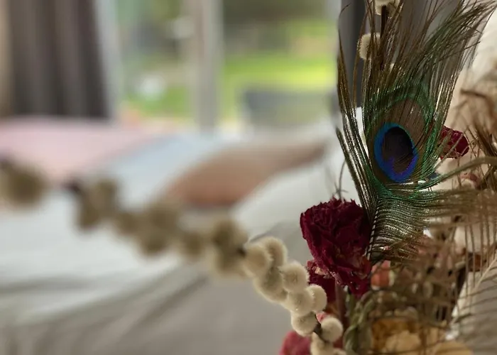 Paauwze Nocleg ze śniadaniem Rijnsburg