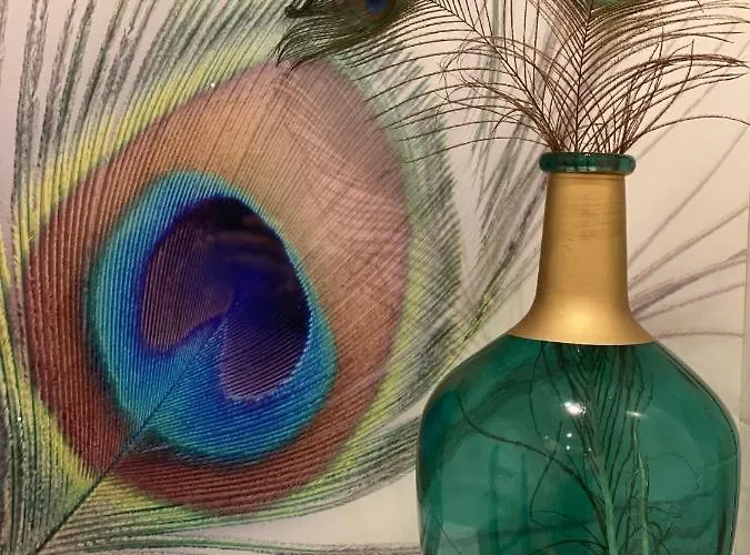 Oda ve Kahvaltı Paauwze