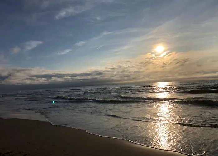 Paauwze Nocleg ze śniadaniem Rijnsburg