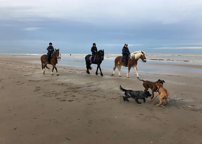 Paauwze 3* Rijnsburg