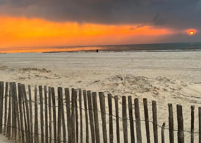 Paauwze 3* Rijnsburg