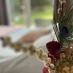 Paauwze B&B Rijnsburg