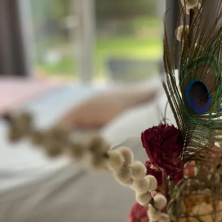 Paauwze Oda ve Kahvaltı Rijnsburg