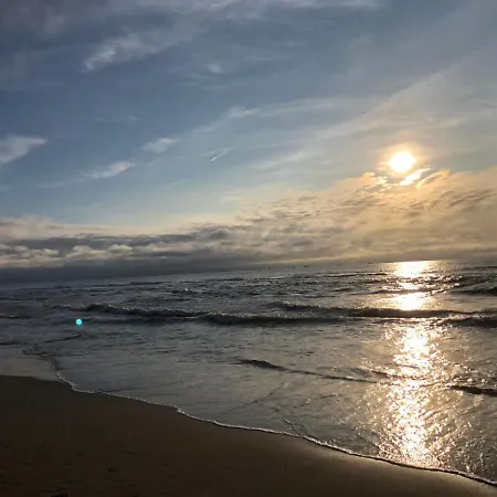 Paauwze Oda ve Kahvaltı Rijnsburg