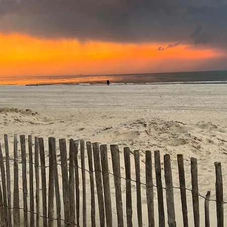 Paauwze 3* Rijnsburg