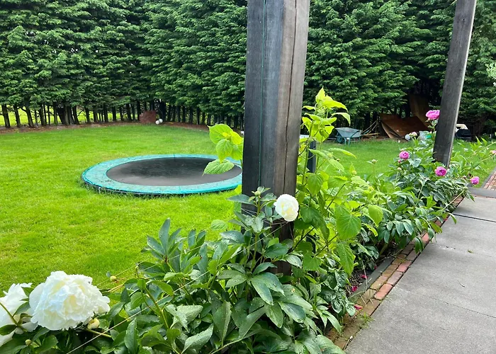 Paauwze 3* Rijnsburg